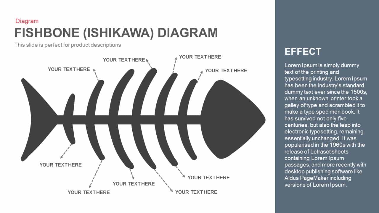 Fishbone diagrams