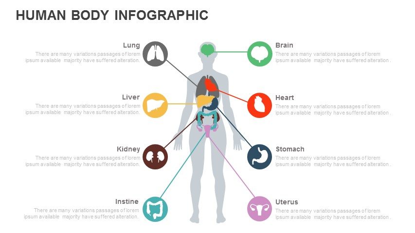 BODY ANATOMY POWERPOINT