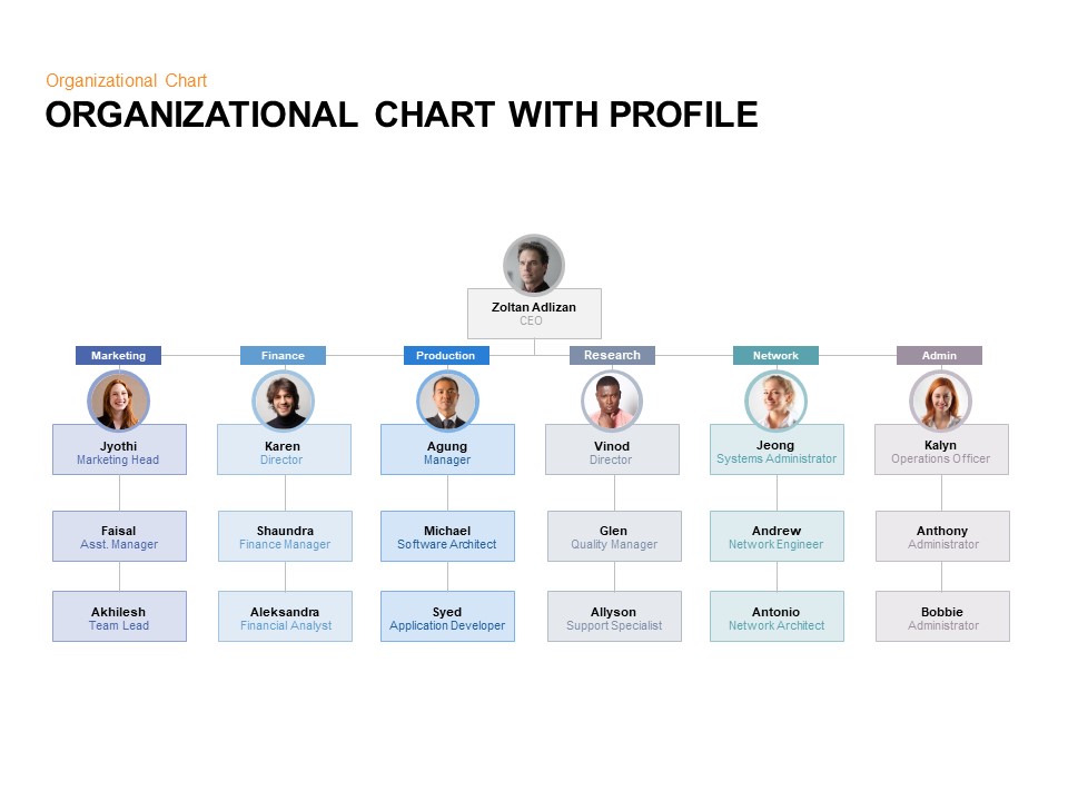 organizational chart with profile