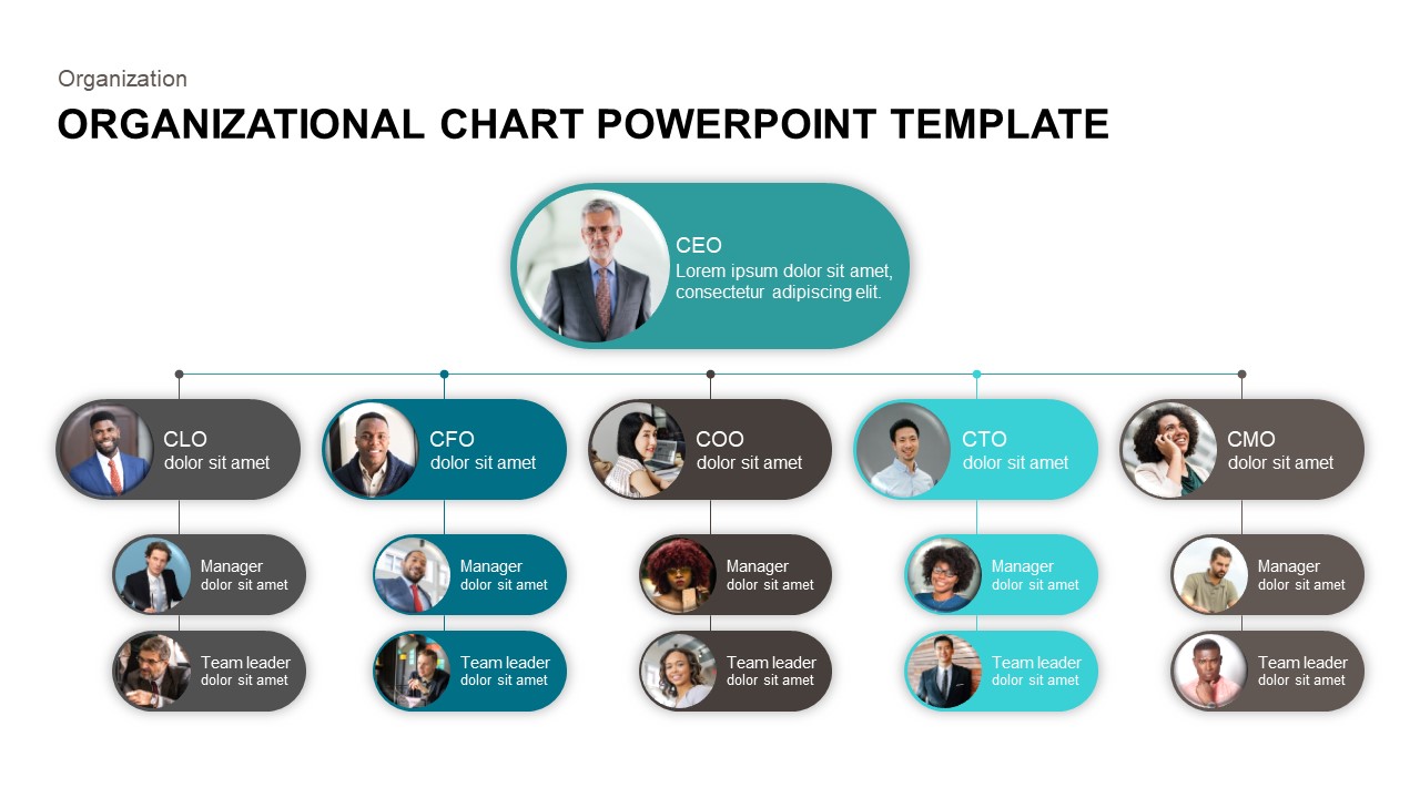 organizational chart PowerPoint