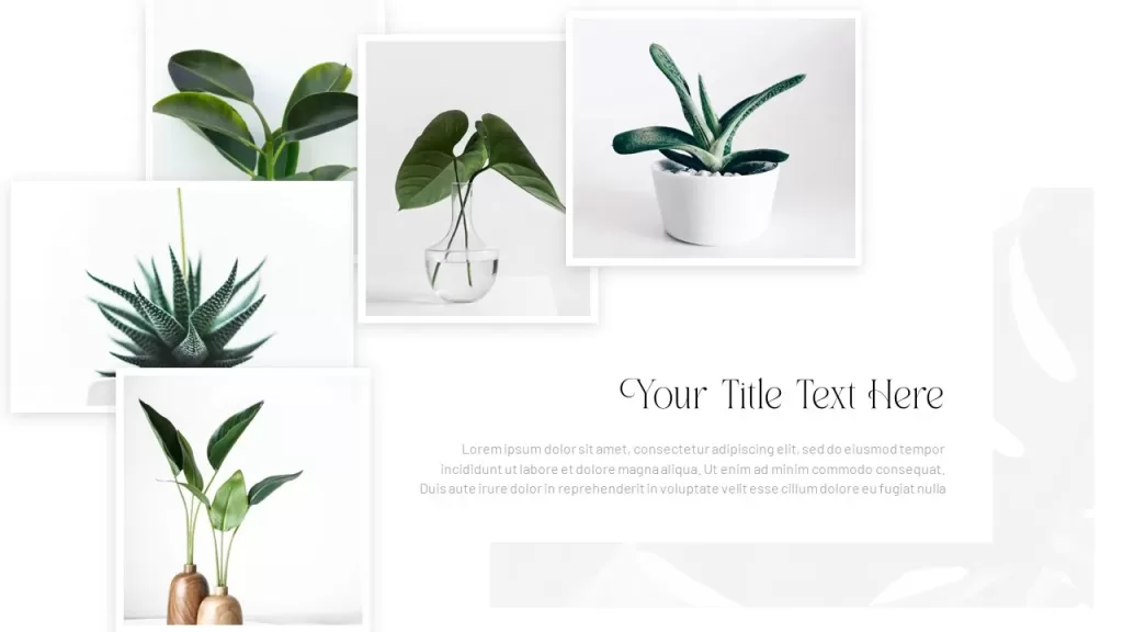 Collage template for PowerPoint slides