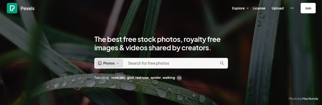 A preview of Pexels, a website for downloading stock images for presentations