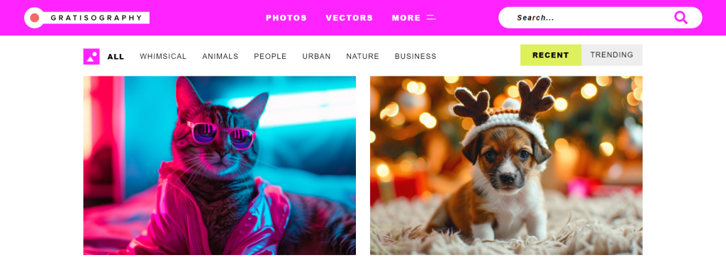 A preview of Gratisography, a website you can use to download quirky and creative stock photos for your presentations.