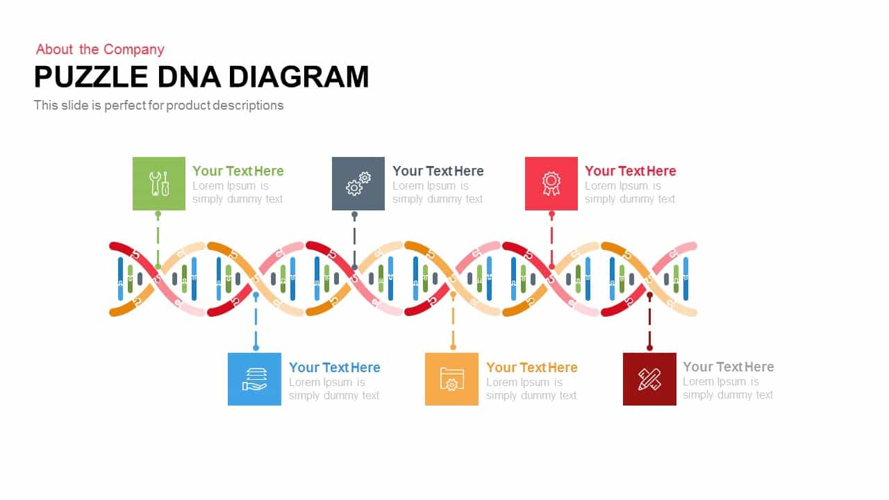 Puzzle DNA PowerPoint Template Diagram and Keynote Slide