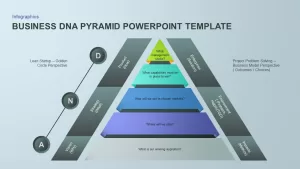 business dna pyramid