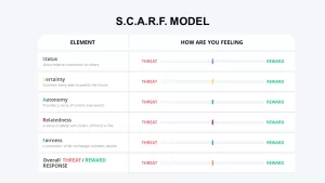 scarf model elements & feelings