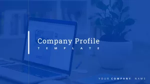 company profile