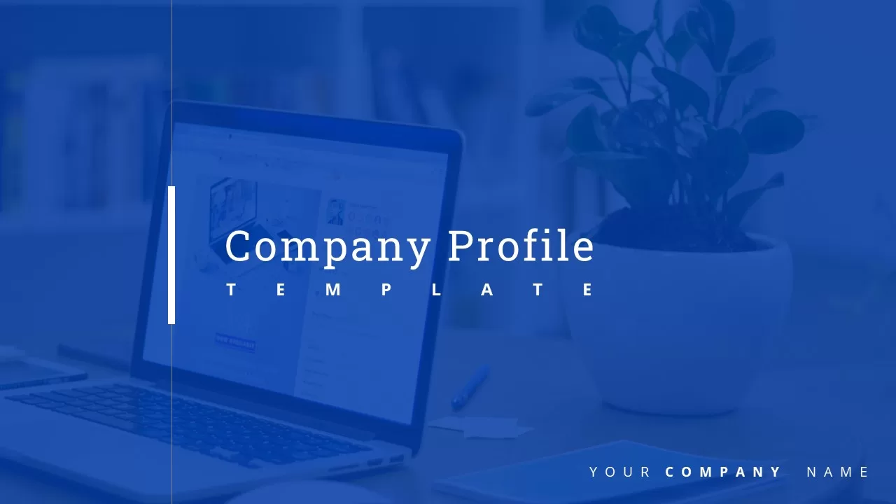 company profile