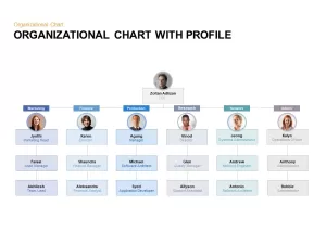 organizational chart with profile