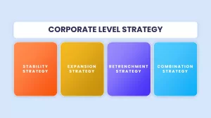 corporate level strategy