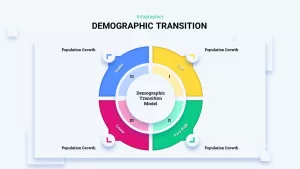 demographic infographic slide