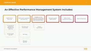 effective performance management system