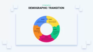 infographic demographic transition