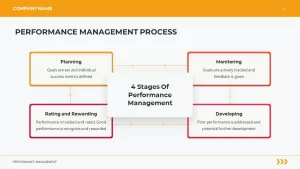 performance management process