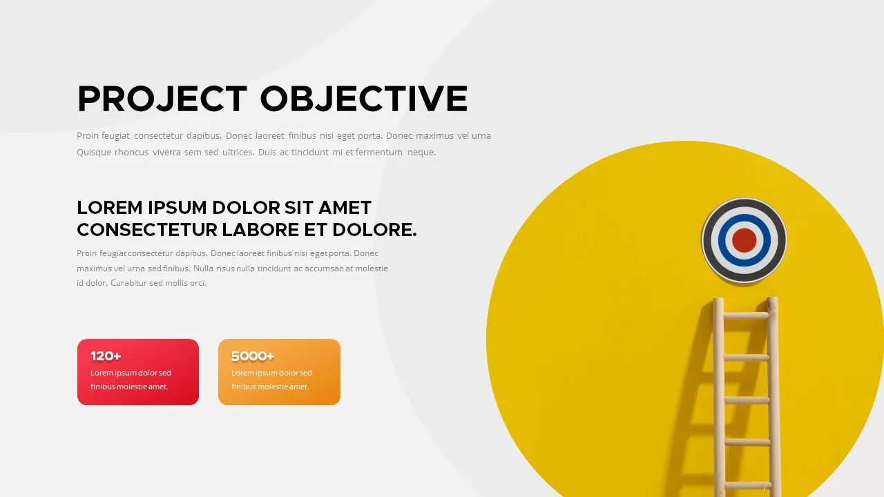 project objective