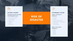 risk of disaster