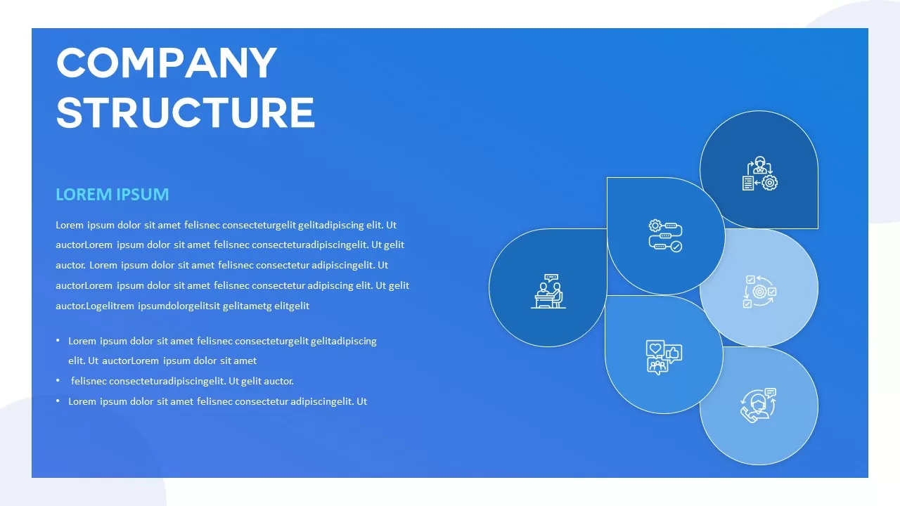 company structure