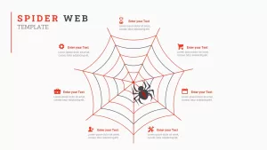 Spider Web ppt