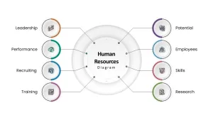 human resourse diagram