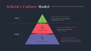 Schein's Model of Culture