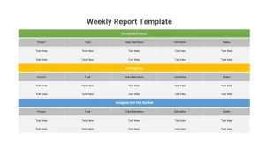 weekly report