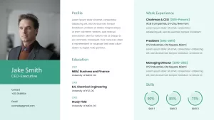 ceo resume template