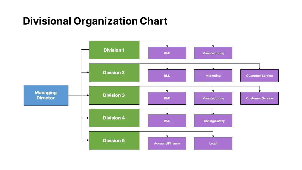 Divisional Organizational Structure