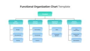 Functional Organizational Chart