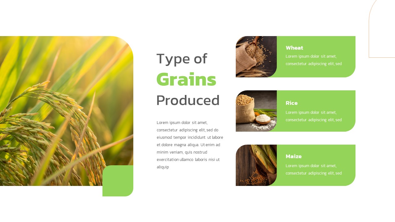 Farm PowerPoint template grains types