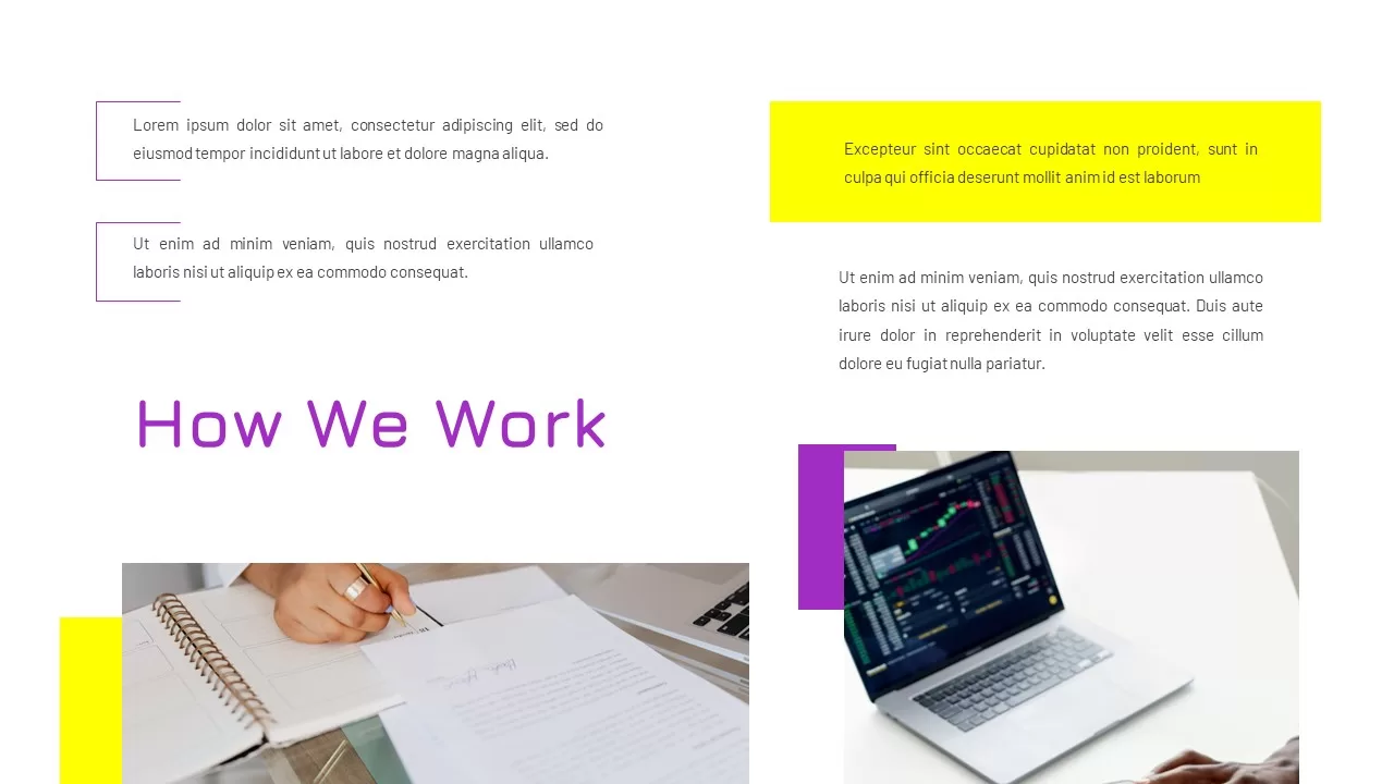 Purple And Yellow Business Presentation5