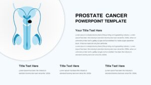 Prostate Cancer PowerPoint Template