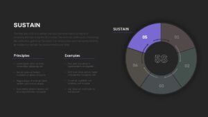 5s Methodology PPT Template