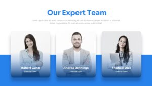 our expert team slide