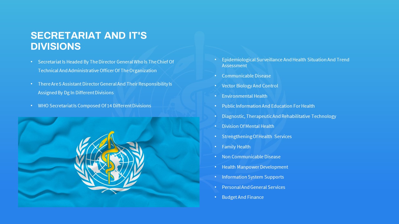 Free-World-Health-Organization-PowerPoint-Template-Divisions