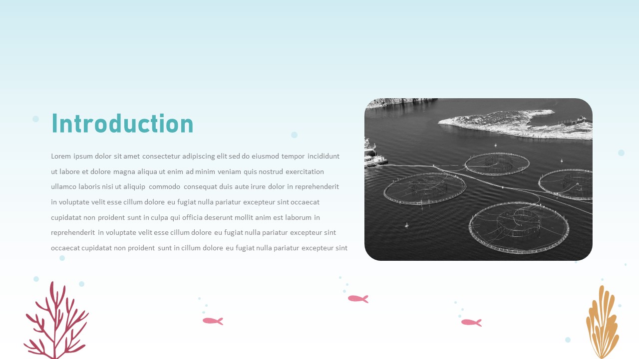 Aqua Farm PowerPoint Theme introduction