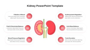 Kidney PowerPoint Presentation Template