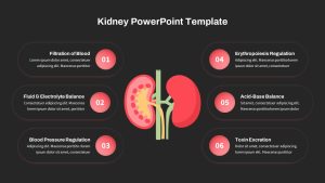 Kidney PowerPoint Template with Black Background