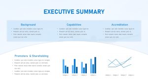 Free Aviation PowerPoint Template Executive Summary Slide